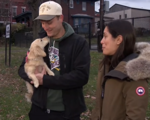 Rescued dog with couple
